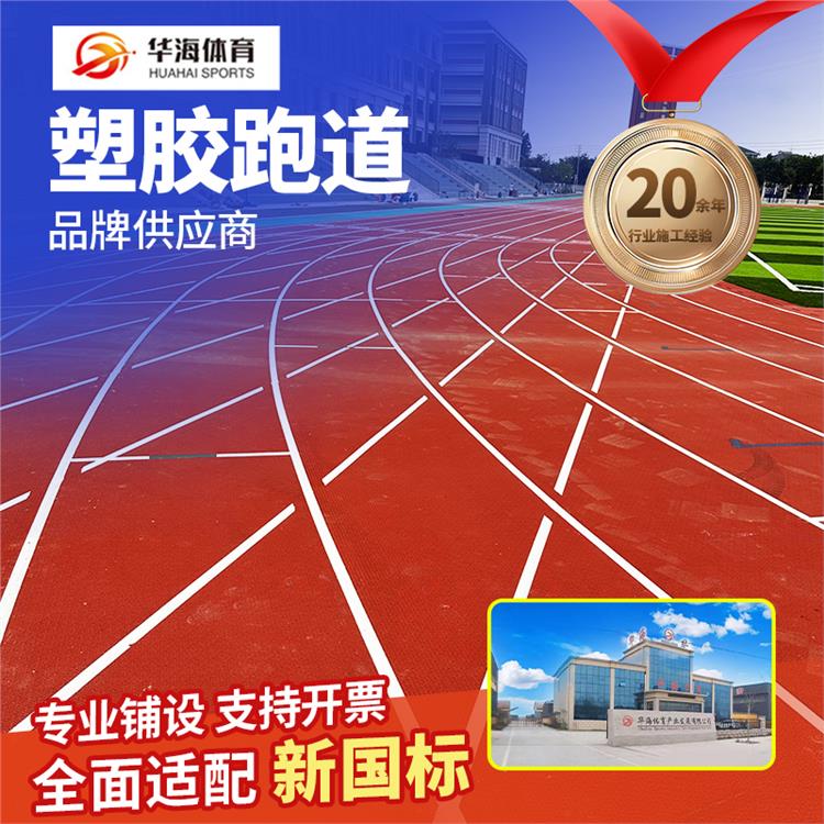 贺州市塑胶跑道材料预制型橡胶跑道 - 厂家